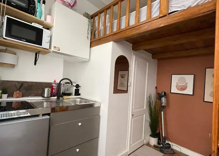 Charmant Cocon Au Coeur De Dijon