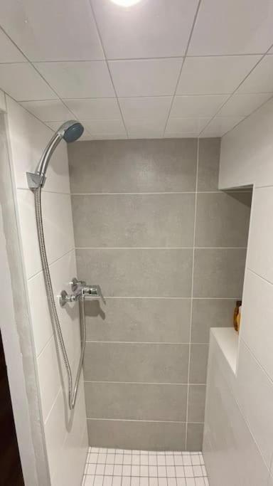 Appartement Cocon Au Coeur De Dijon